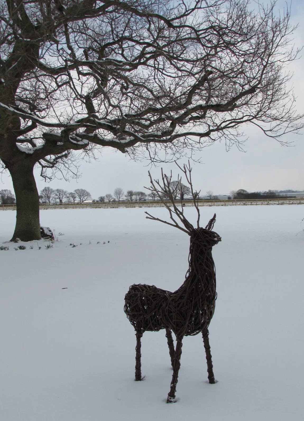 The Beast From The East