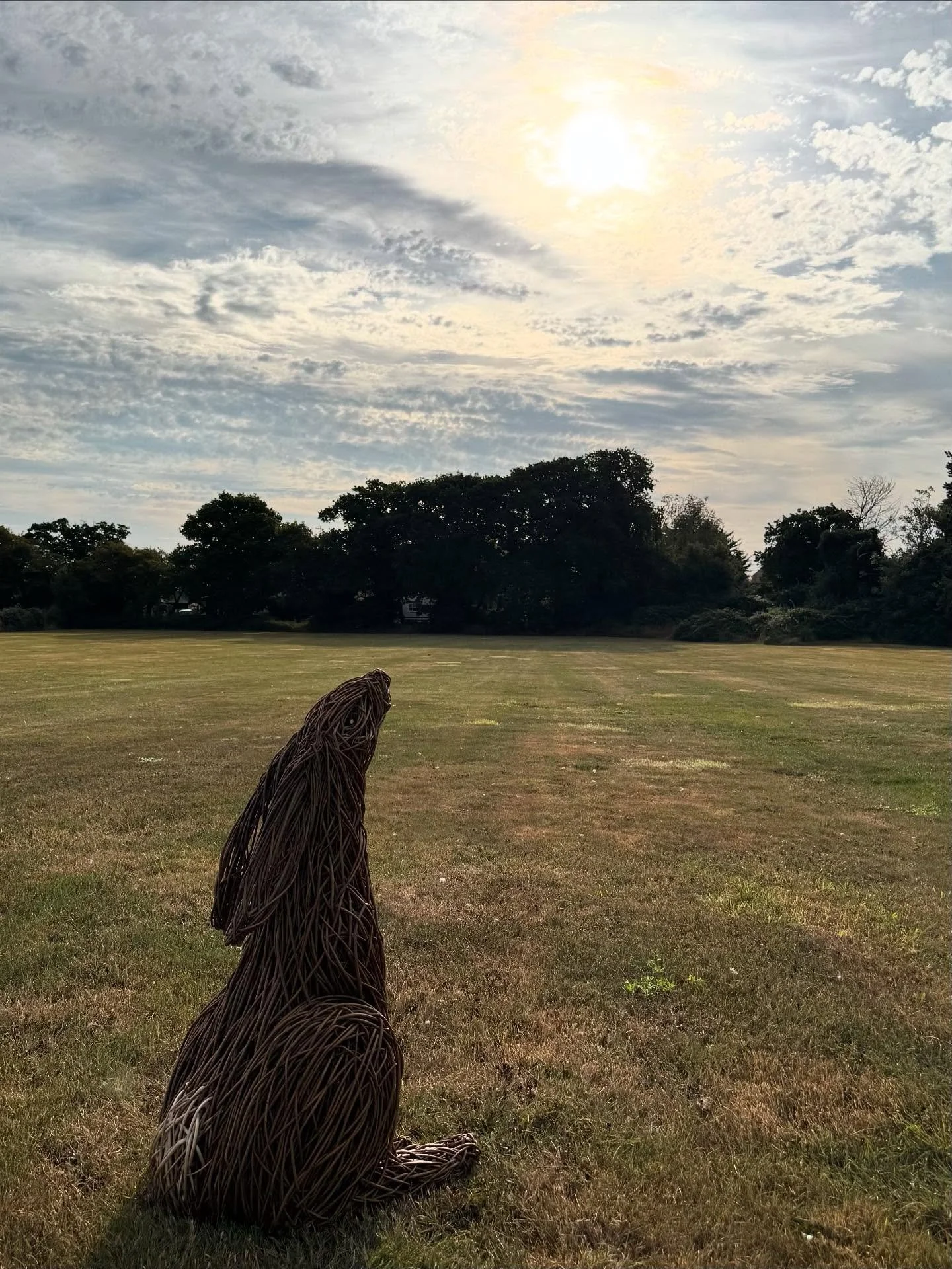 Moon gazing hare &hellip;woven in Black Maul, Old French, Brittany Green and White willows from @musgrovewillows 
#hare #willowsculpture #willow #naturelover #gardenart #moongazing #natureart