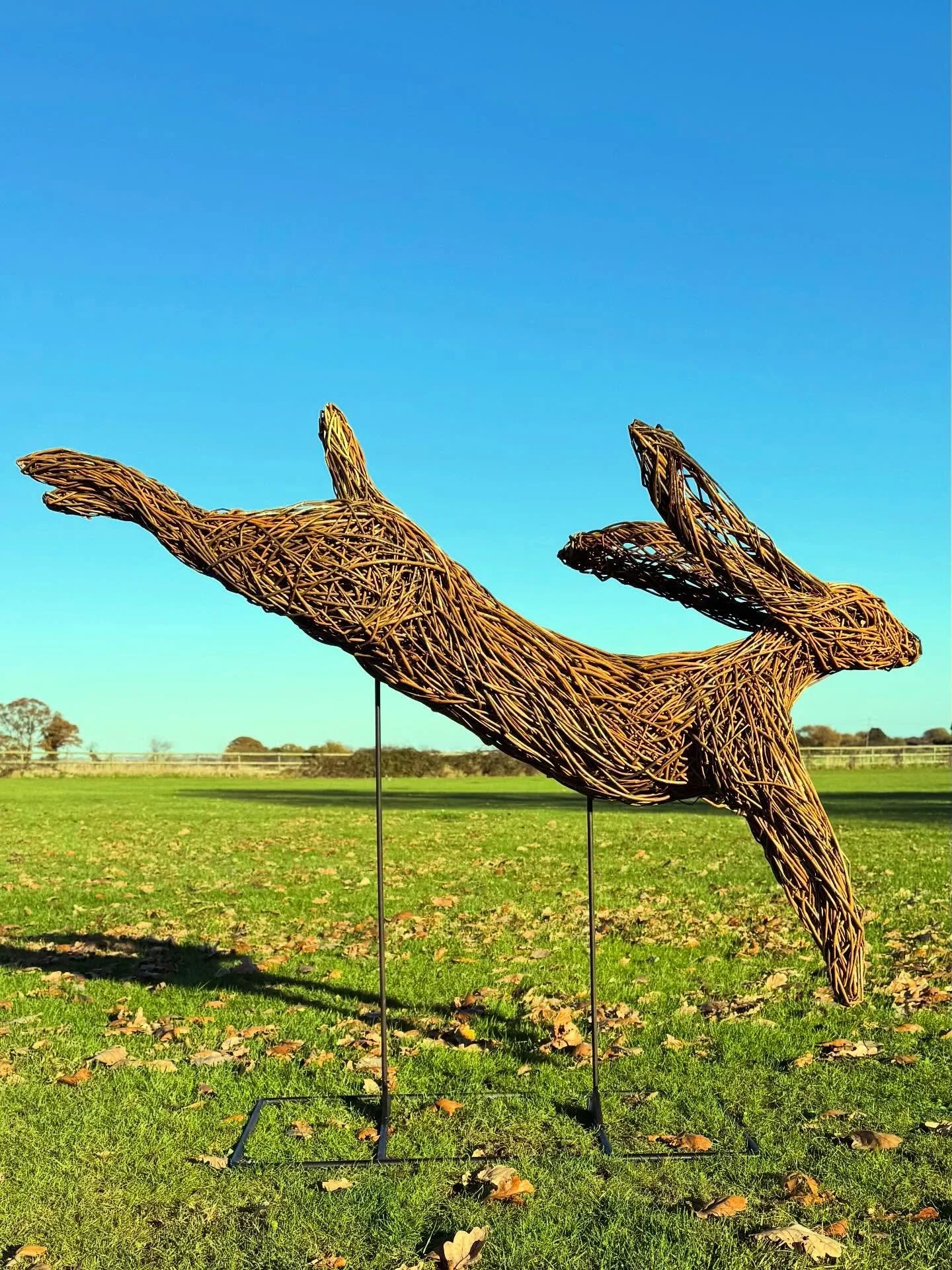 Happy Easter everyone &hellip;. and I am very happy to see my handwoven willow hare happy in its forever home! #easter #hare #willowweaving #nature