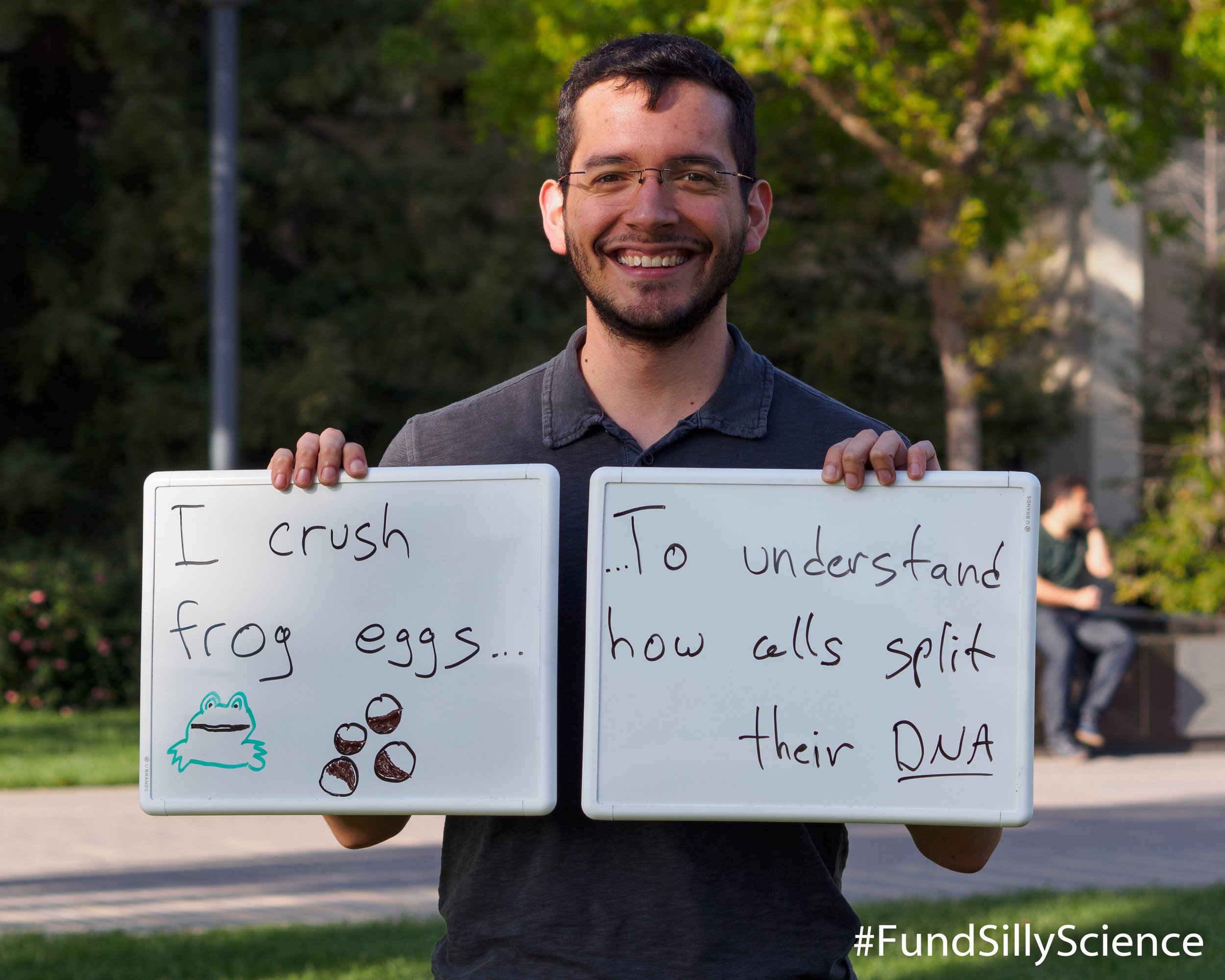  This is Julio, a graduate student at Stanford: “One of the goals of cell division is to replicate DNA and split it equally between the daughter cells. Frog eggs contain all the materials needed to imitate cell division in a test tube if we just add 