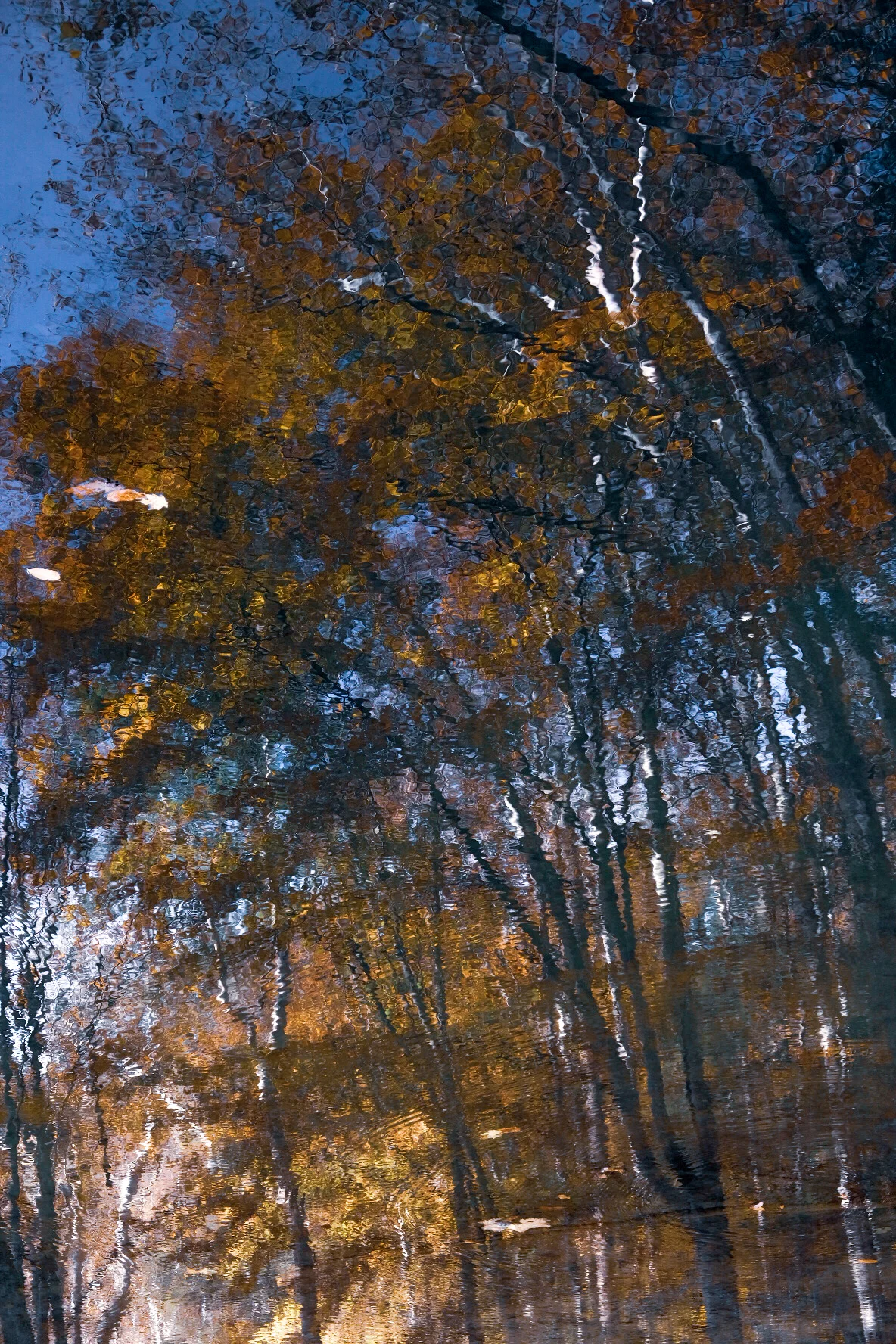 Digital Photograph with the XT-3 & XF 18-55. Focus was used for effect while photographing water to achieve an Impressionistic look.