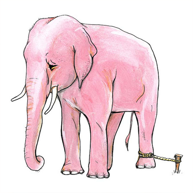Elephants.png
