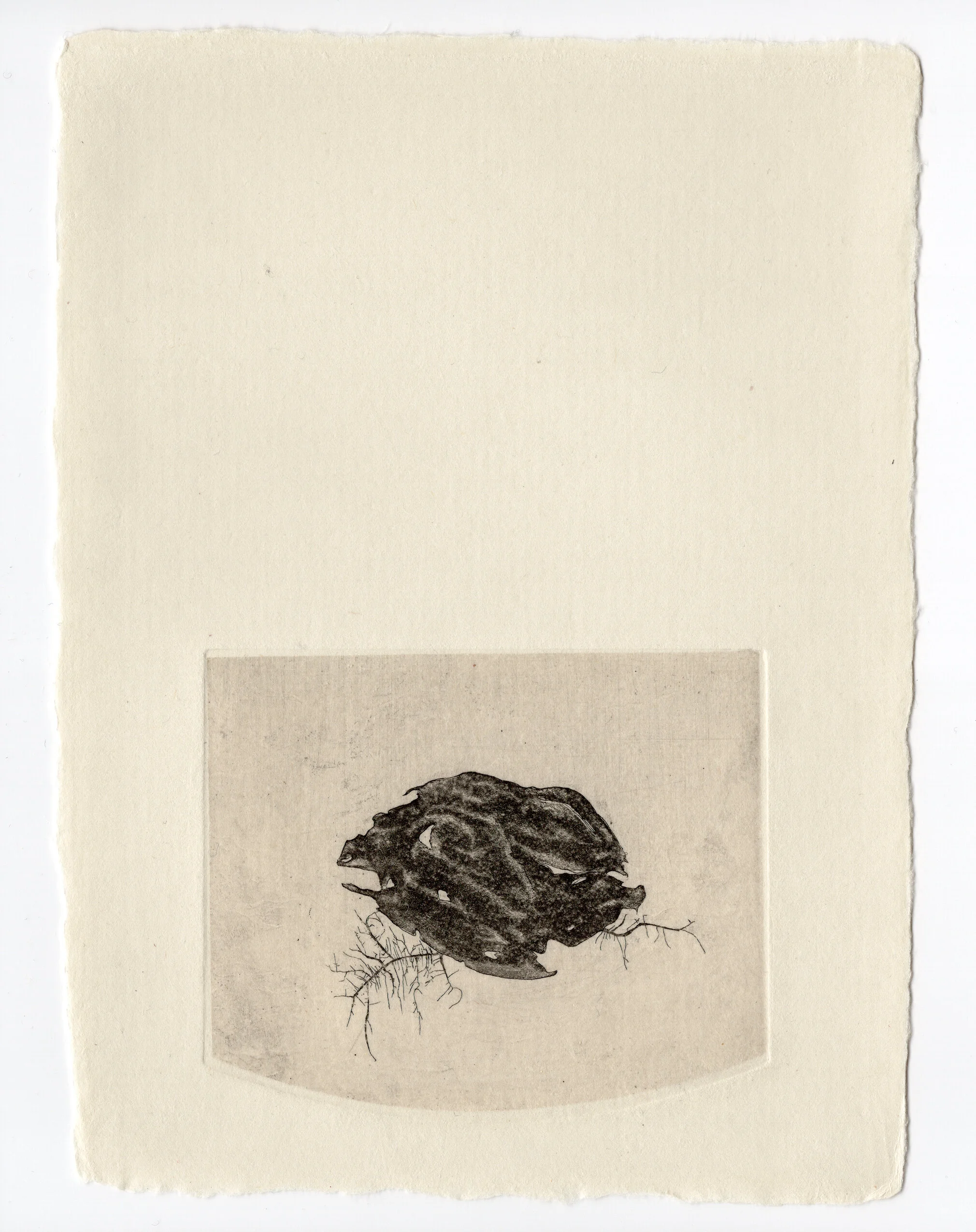   pit   (february 2017) etching, aquatint, chine collé on Japanese paper. edition of 7.&nbsp;  paper size: 6" x 8" 