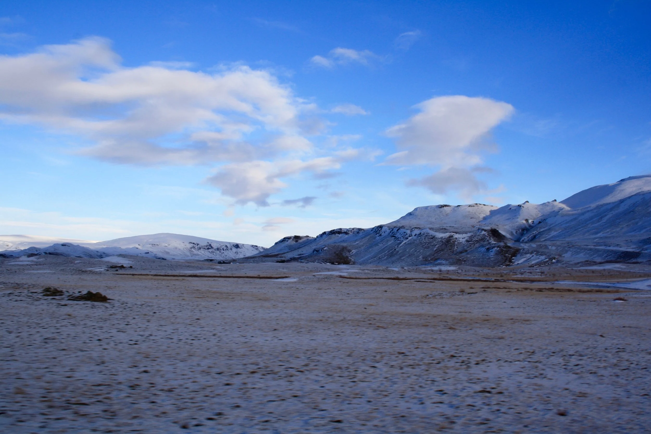 IMG_6470.jpg