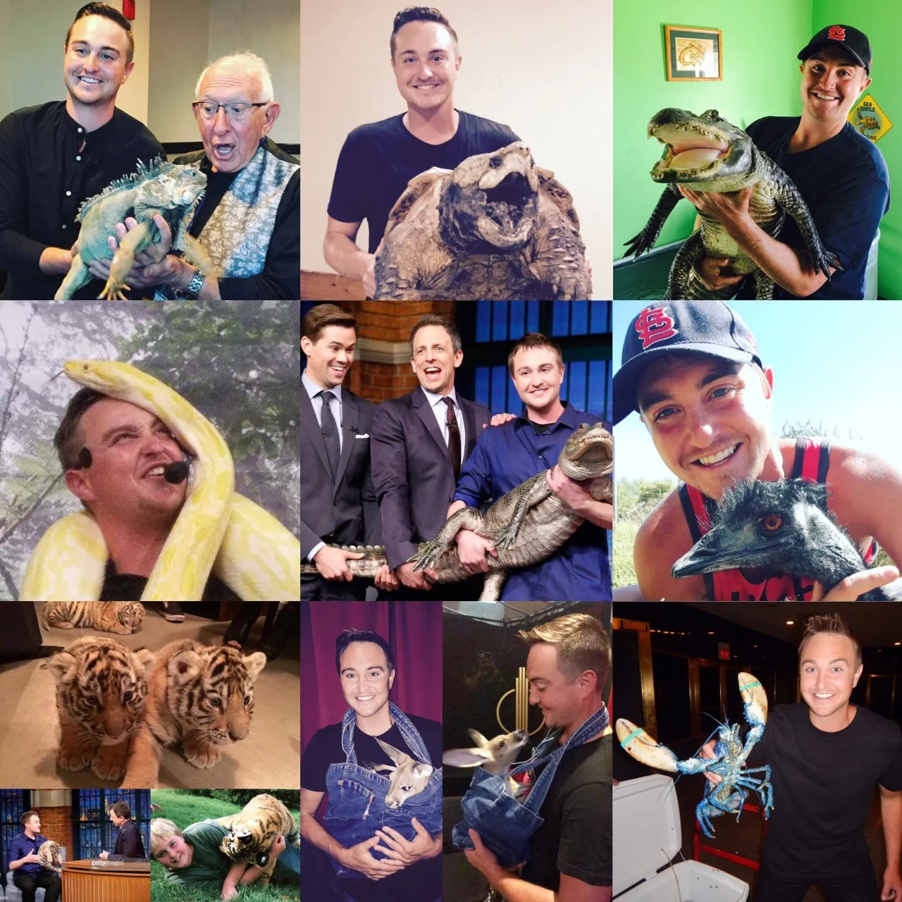 Top Ten Animal Encounters of 2016