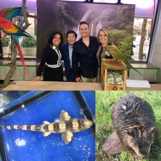 Walking Sharks, Flying Macaws, Mr. Chow, and a Beaver!