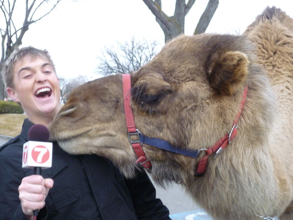 Camel-1.jpg
