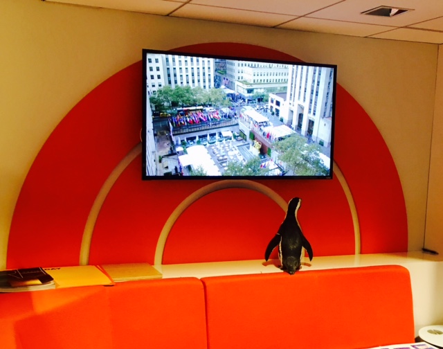Aurora exploring the green room at The TODAY Show. 