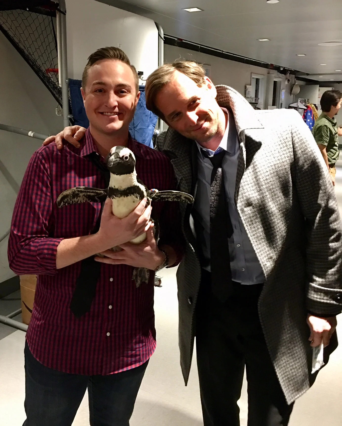 Actor Josh Lucas from the movie Sweet Home Alabama . 