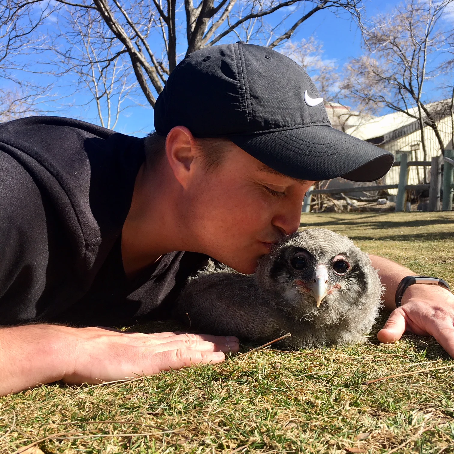 Meeting Oliver, a 45-day-old Milky-Eagle Owl from The World Center For Birds Of Prey in Boise, Idaho. 