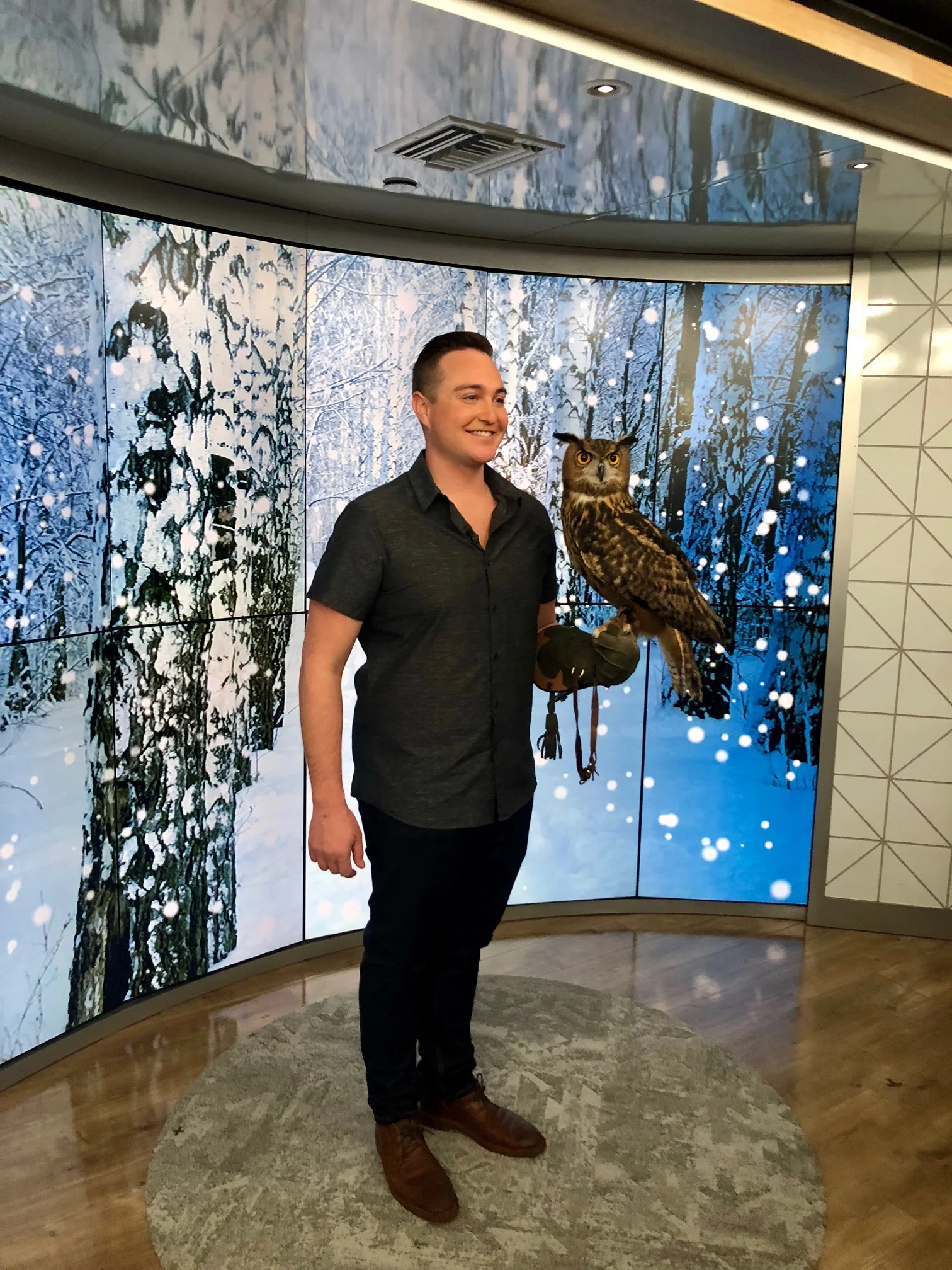 owl tease.jpg