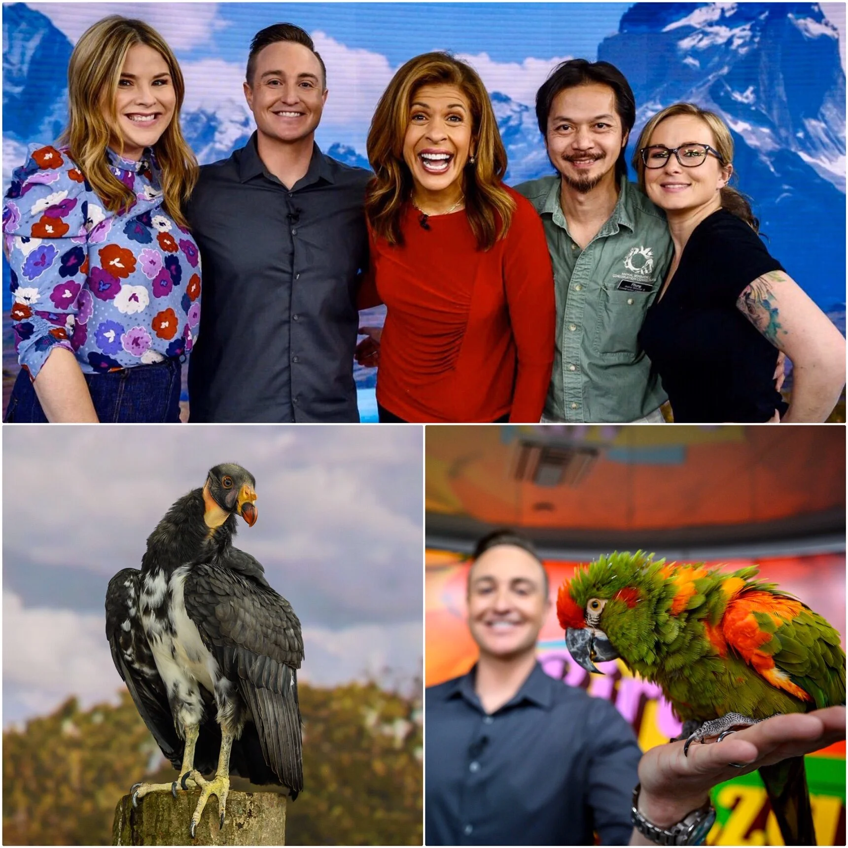 Bird Bonanza on 'TODAY Show' 