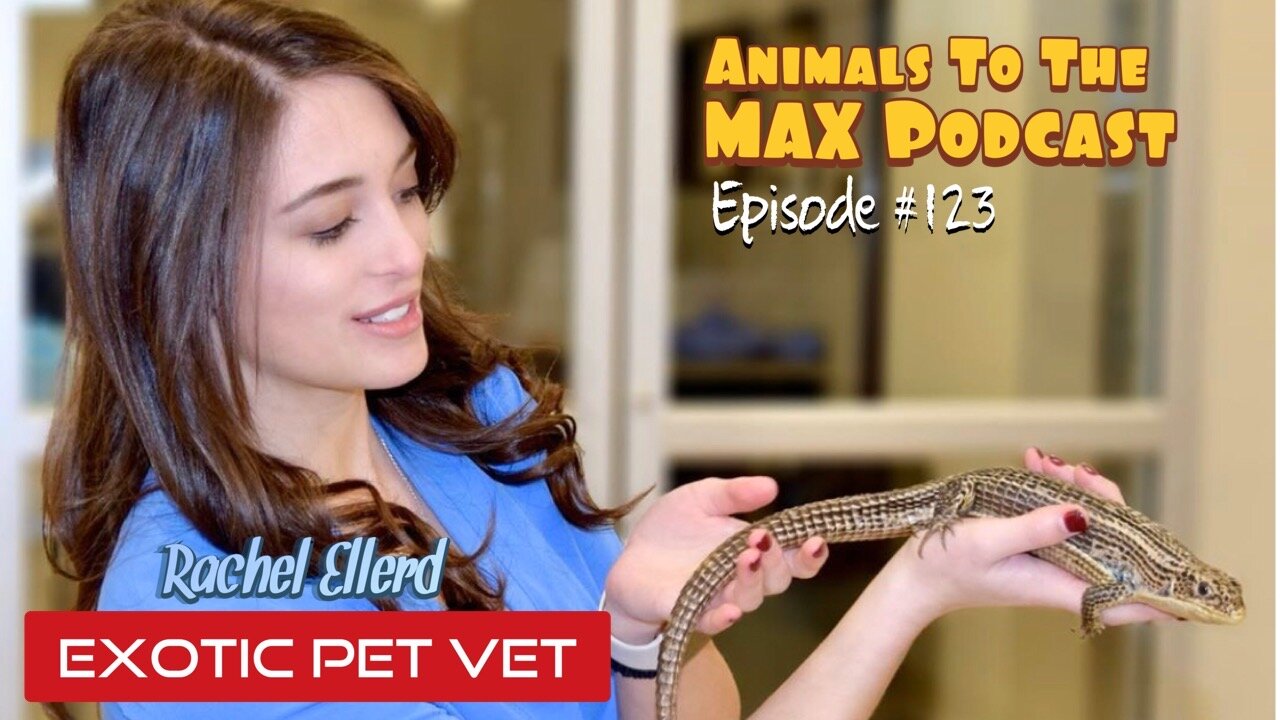 exotic animal medicine — Animals To The MAX Podcast — 
