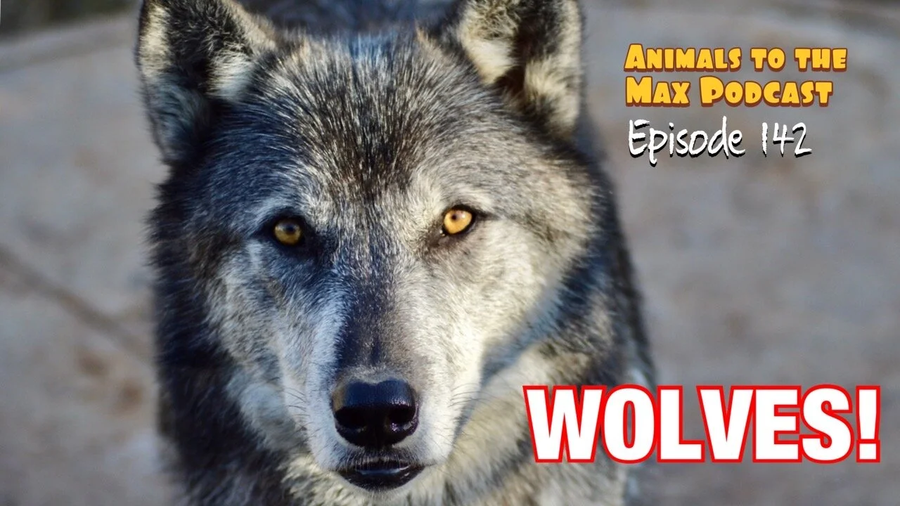 Photo Credit: Anthony Seiler