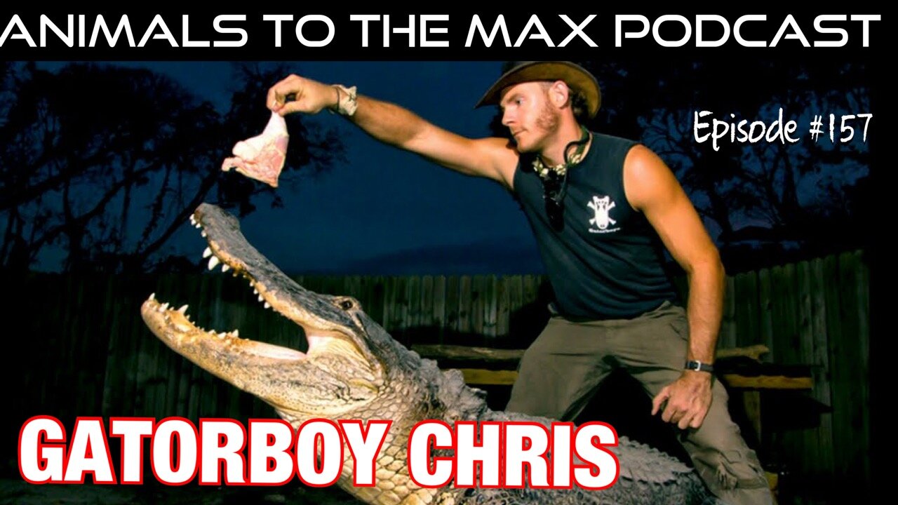 gator boys animal planet — Animals To The MAX Podcast — 