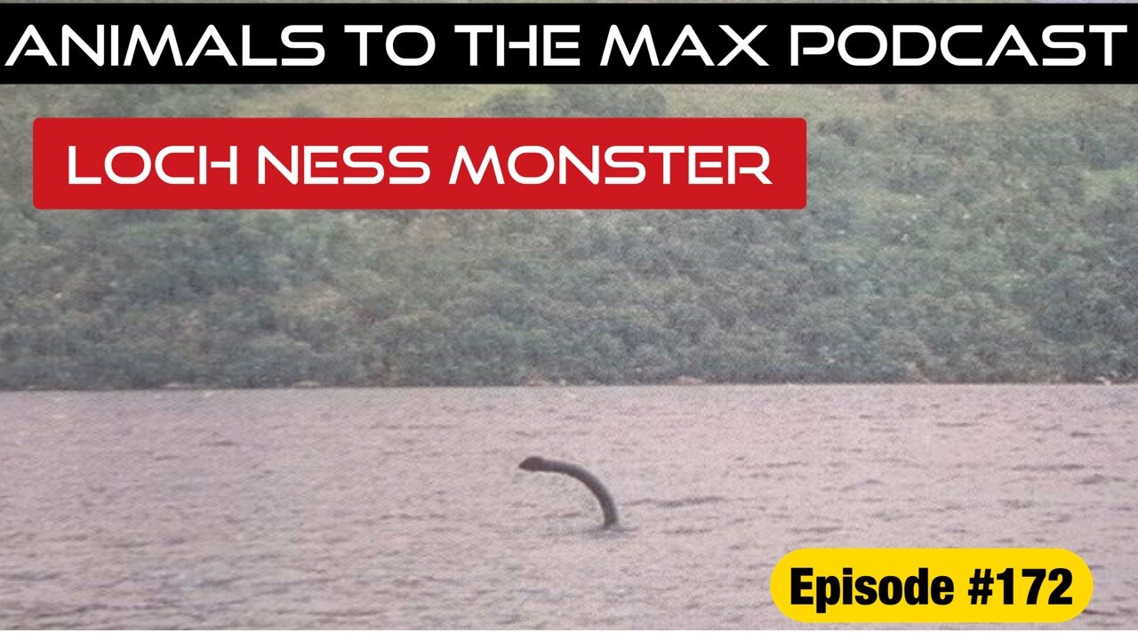 Loch Ness Monster — CorbinMaxey.com