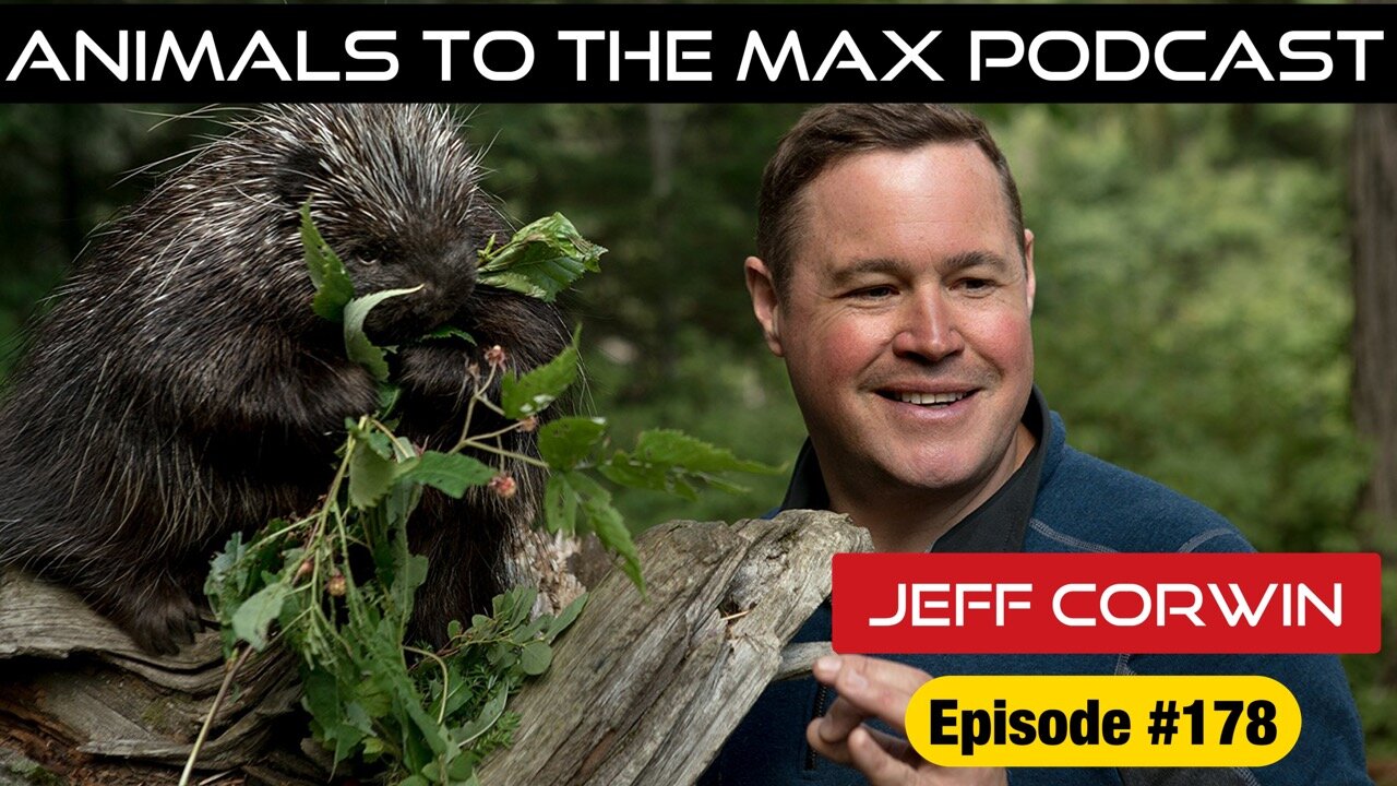 Animal Expert & TV Personality Jeff Corwin — 