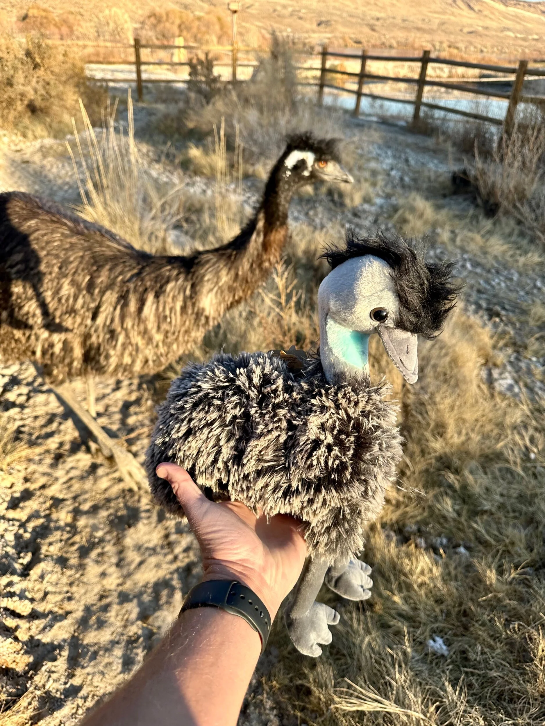 47F5AD68-BF0A-4E4C-910A-D1BF38010F16