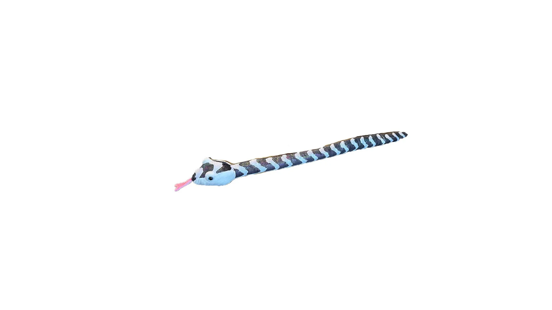White sea snake.jpg