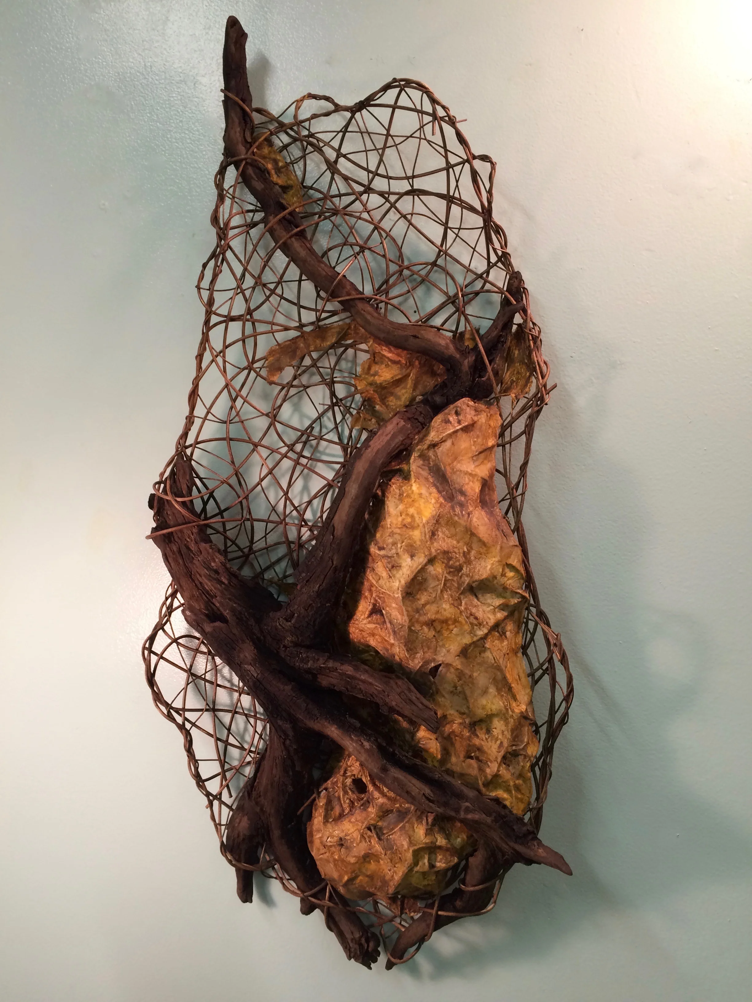 Sea Nest