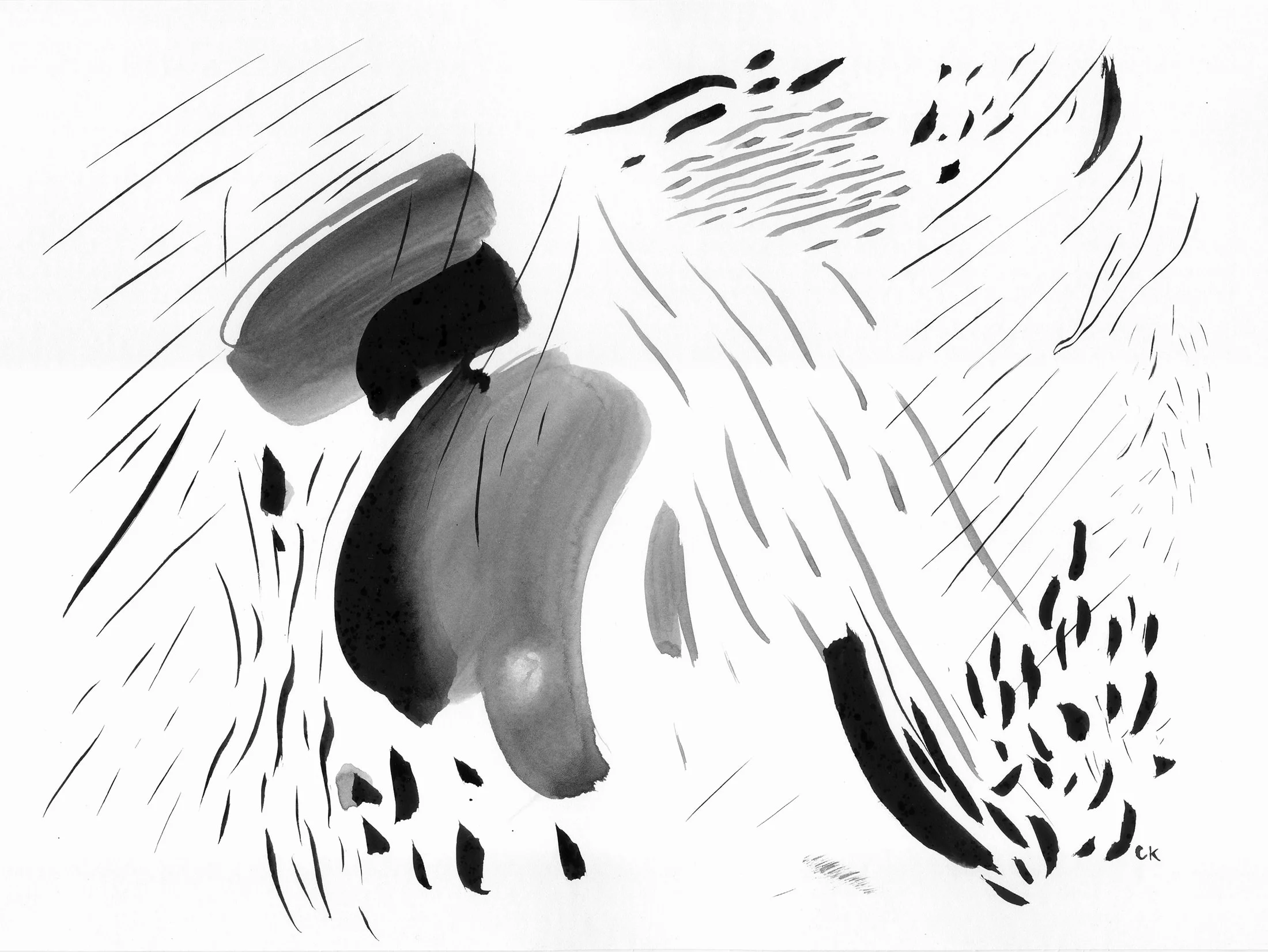 Ink on paper, 2017 9 x 12 inches