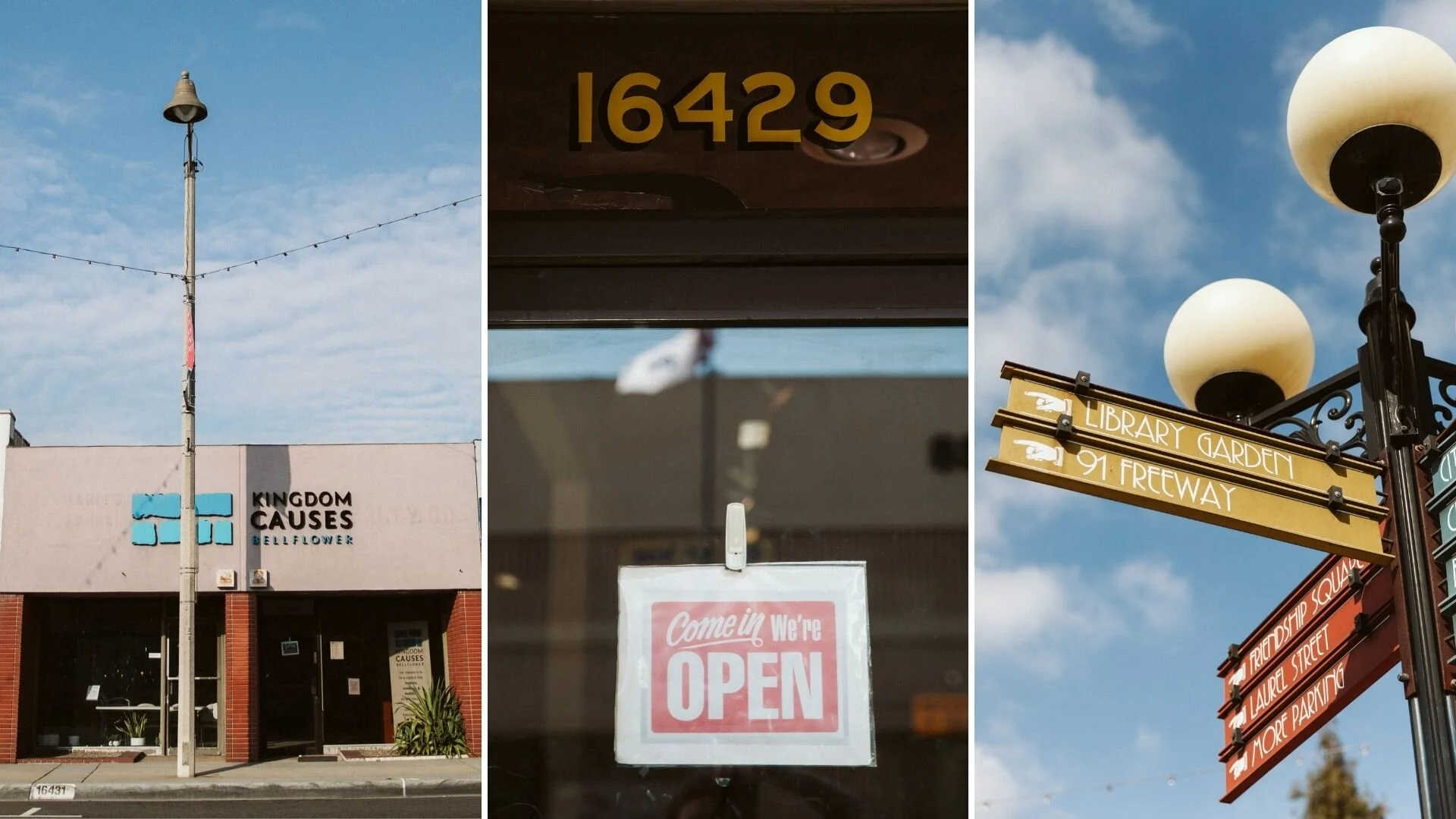 Kingdom Causes Bellflower