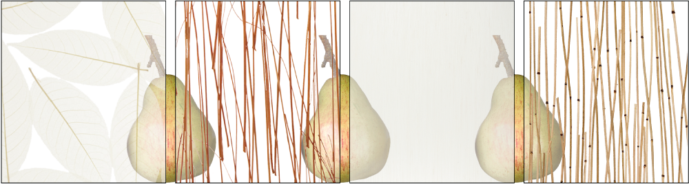 Deco-Inserts2.png