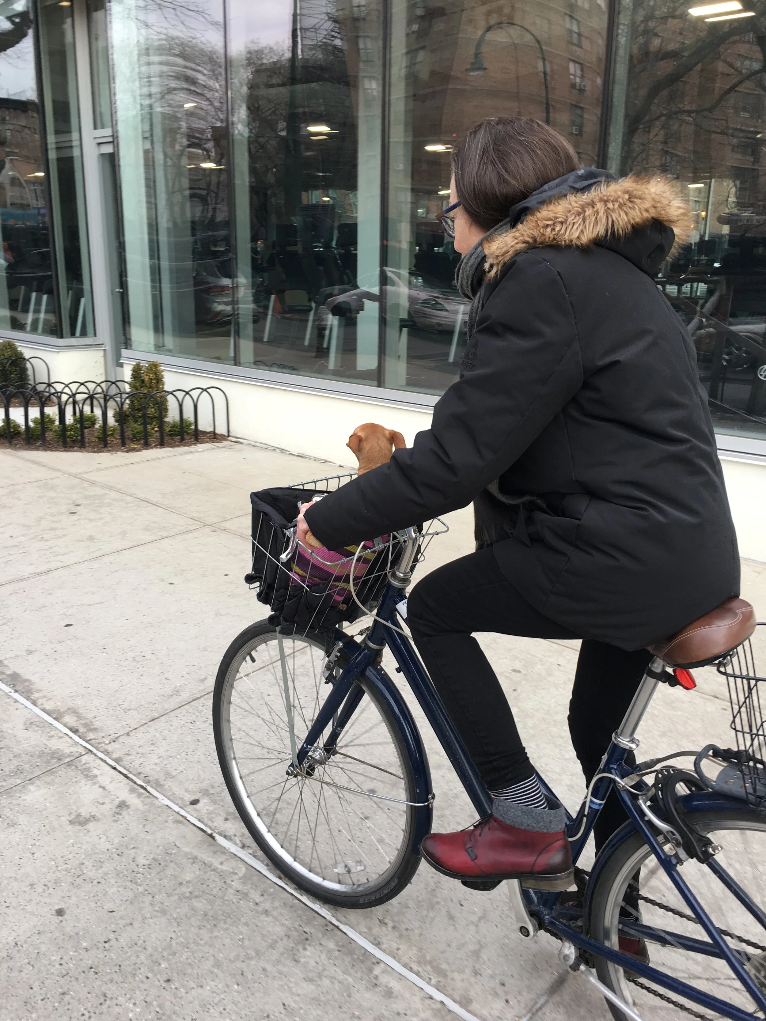 Jeff_Feld_When_Feldwood .JPG