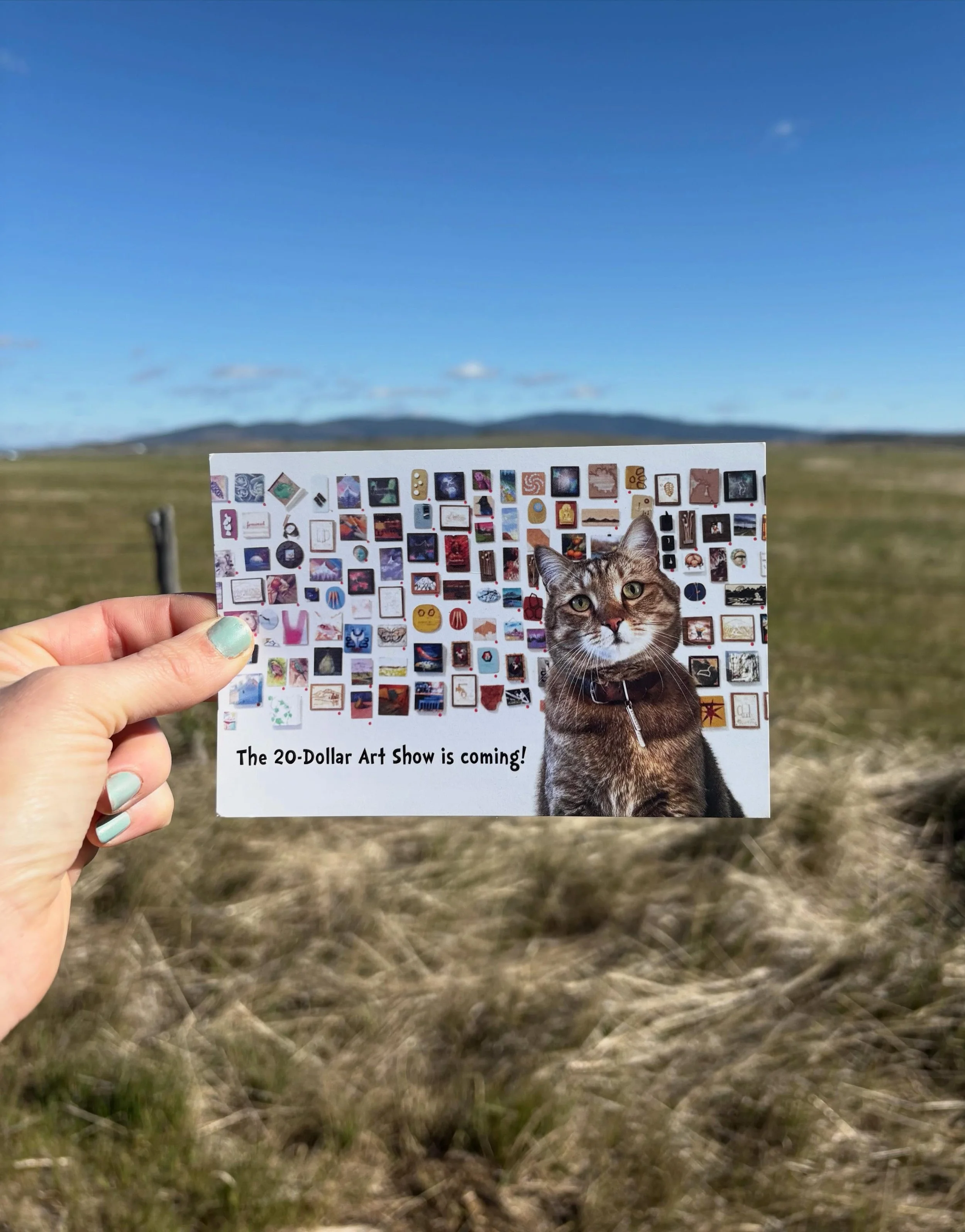 Alright, lucky year 13, let&rsquo;s go. Enormous thanks to @highdesertmuseum for allowing our chaos to take over their space ❤️ Submissions open July 1st at noon, drop-offs are September 25th - 27th, the extravaganza is October 23rd-26th, and pick-up