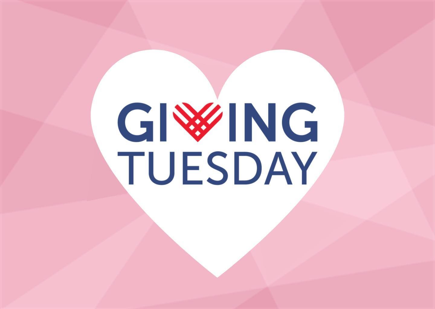 Today is #GivingTuesday. Consider visiting our website and checking out the list of non-profit organizations that are doing incredible work everyday with the help of their AmeriCorps members. They could use your support today and everyday. Find an or