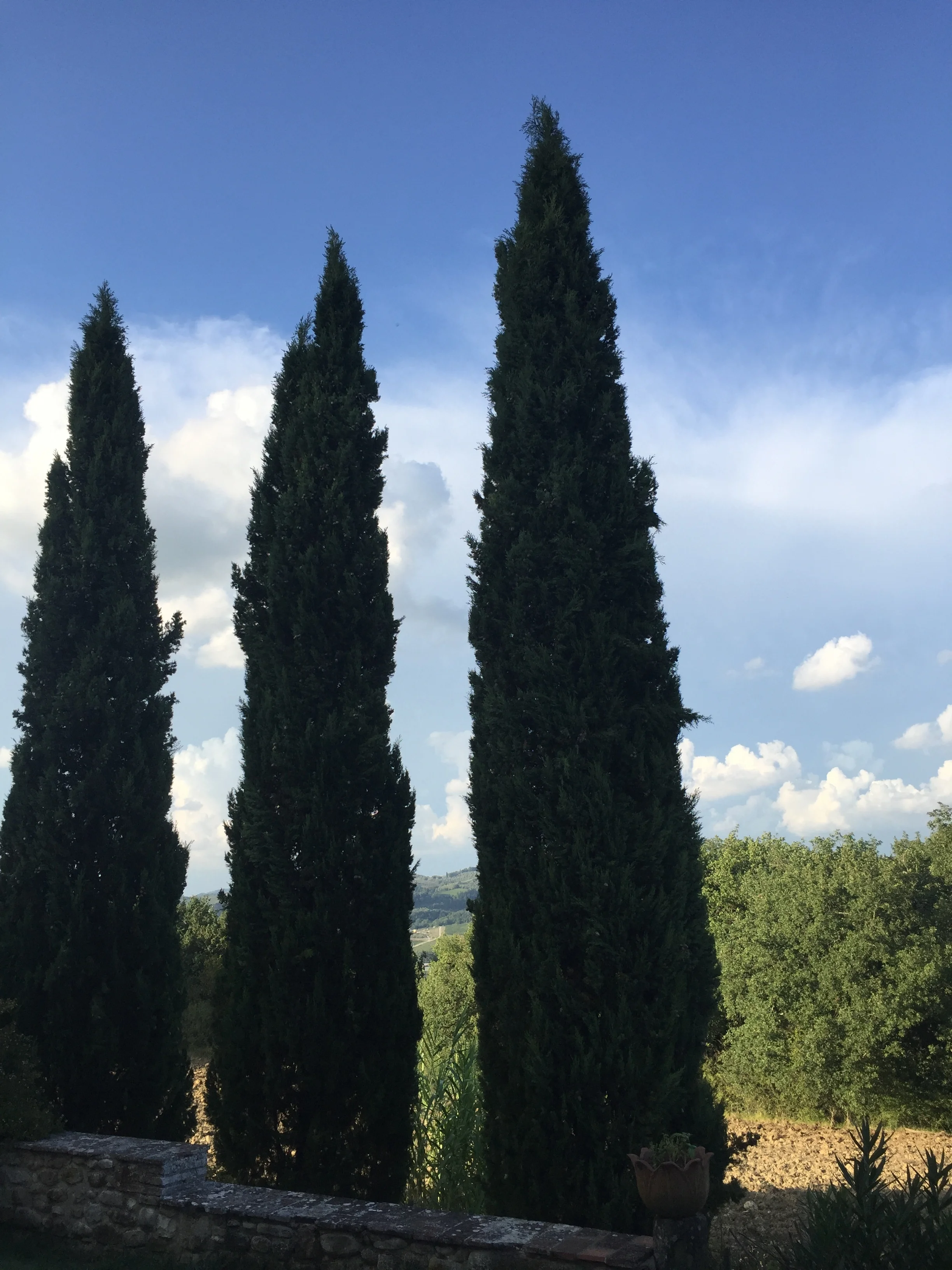 Tuscany &amp; Piedmont Wineries &amp; Sightseeing 