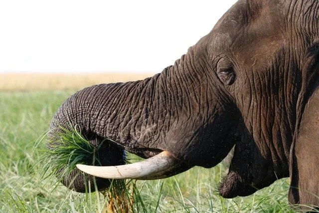 2024: Premier Travel Destinations Unveiled