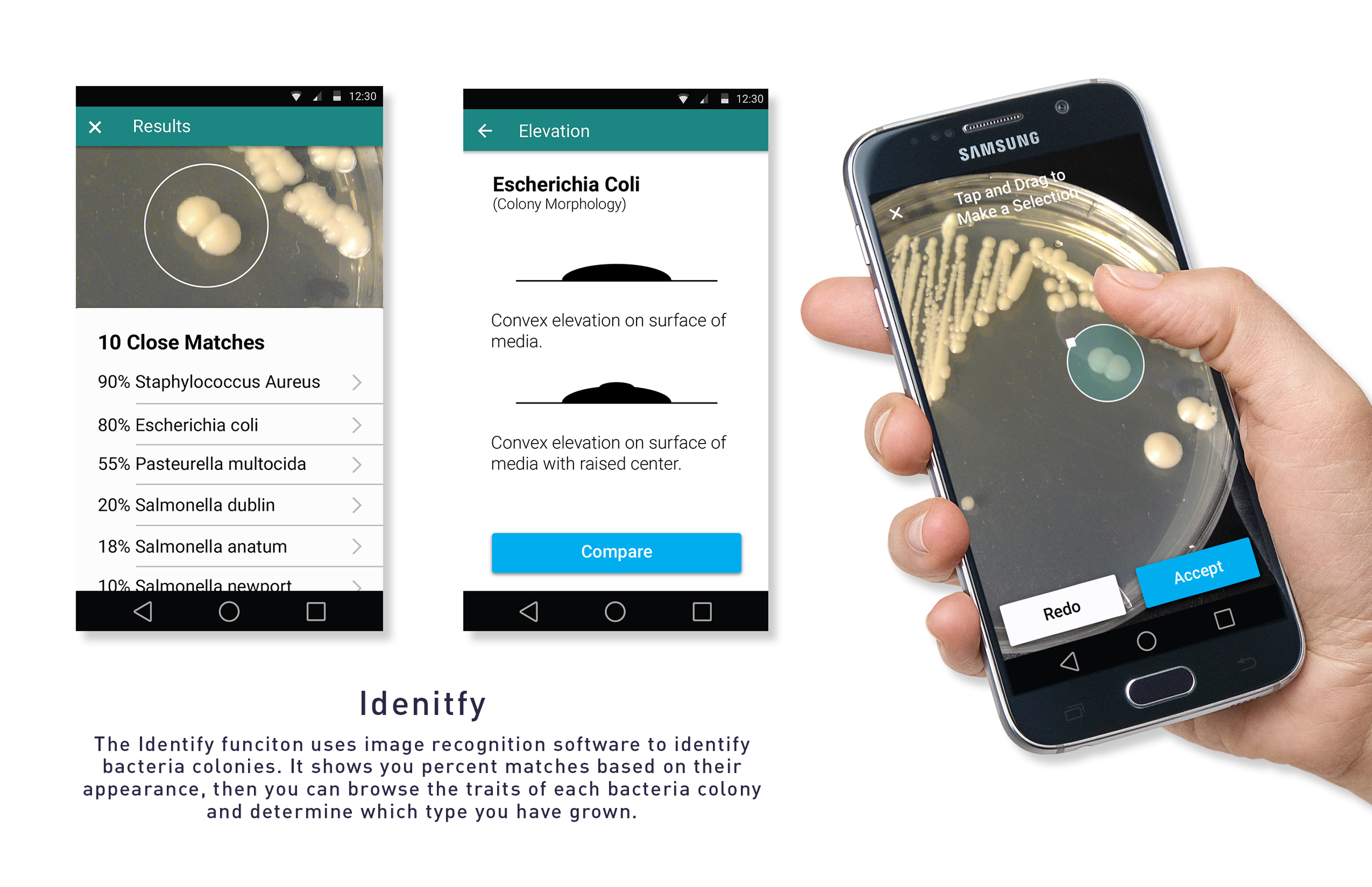 Identify_Info.png