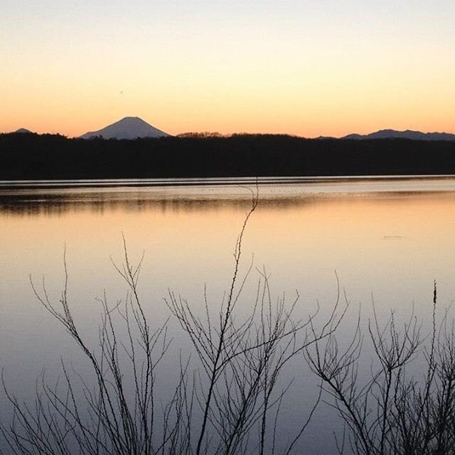 Did you know that in Japan, it is thought to be lucky if you see Mt. Fuji in the first dream you have of the year (on New Year's Day)? Getting a glimpse of Mt. Fuji or seeing the first sunrise of the year over Mt. Fuji is a beloved tradition as well.