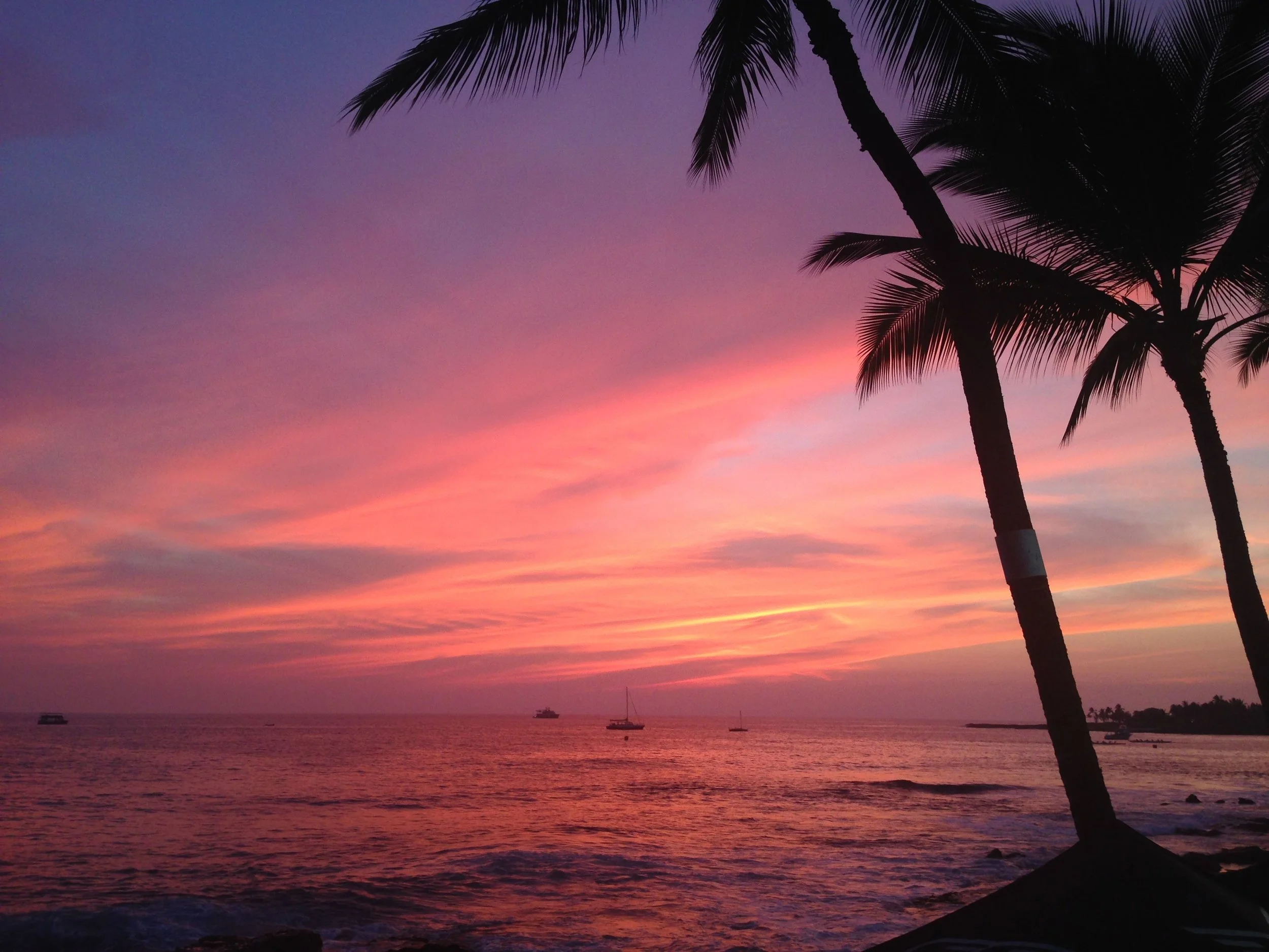 2014 Kona Prelude #2