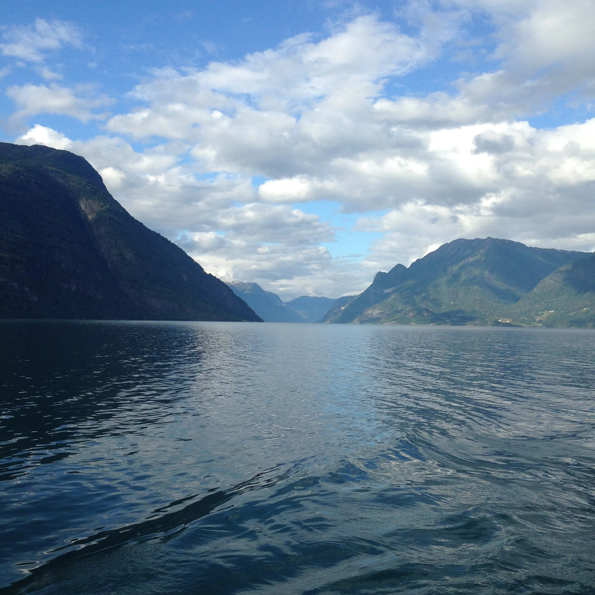 Norseman 2015 The Cold Swim