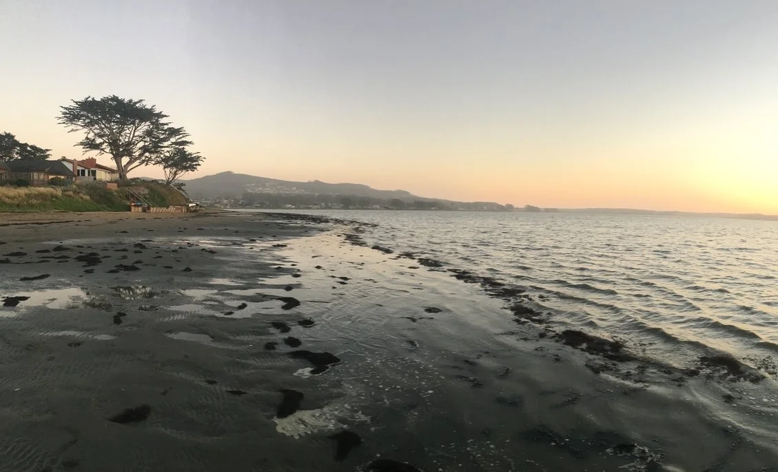 The heart wants what the heart wants...