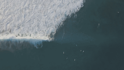 Ocean.gif