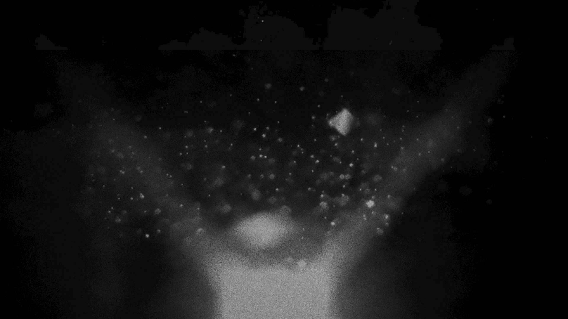 Projector.gif