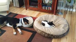 No, man, you’re good. I’ll just put my head here.