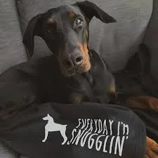 Me? I’m a dog person. This is my favorite breed right here, although this isn’t my dobie, he looks exactly like this guy.