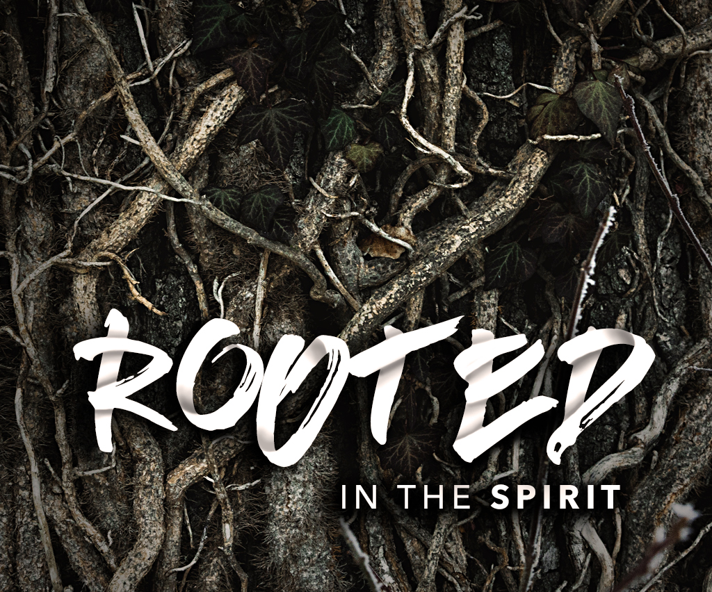 Rooted in the Spirit