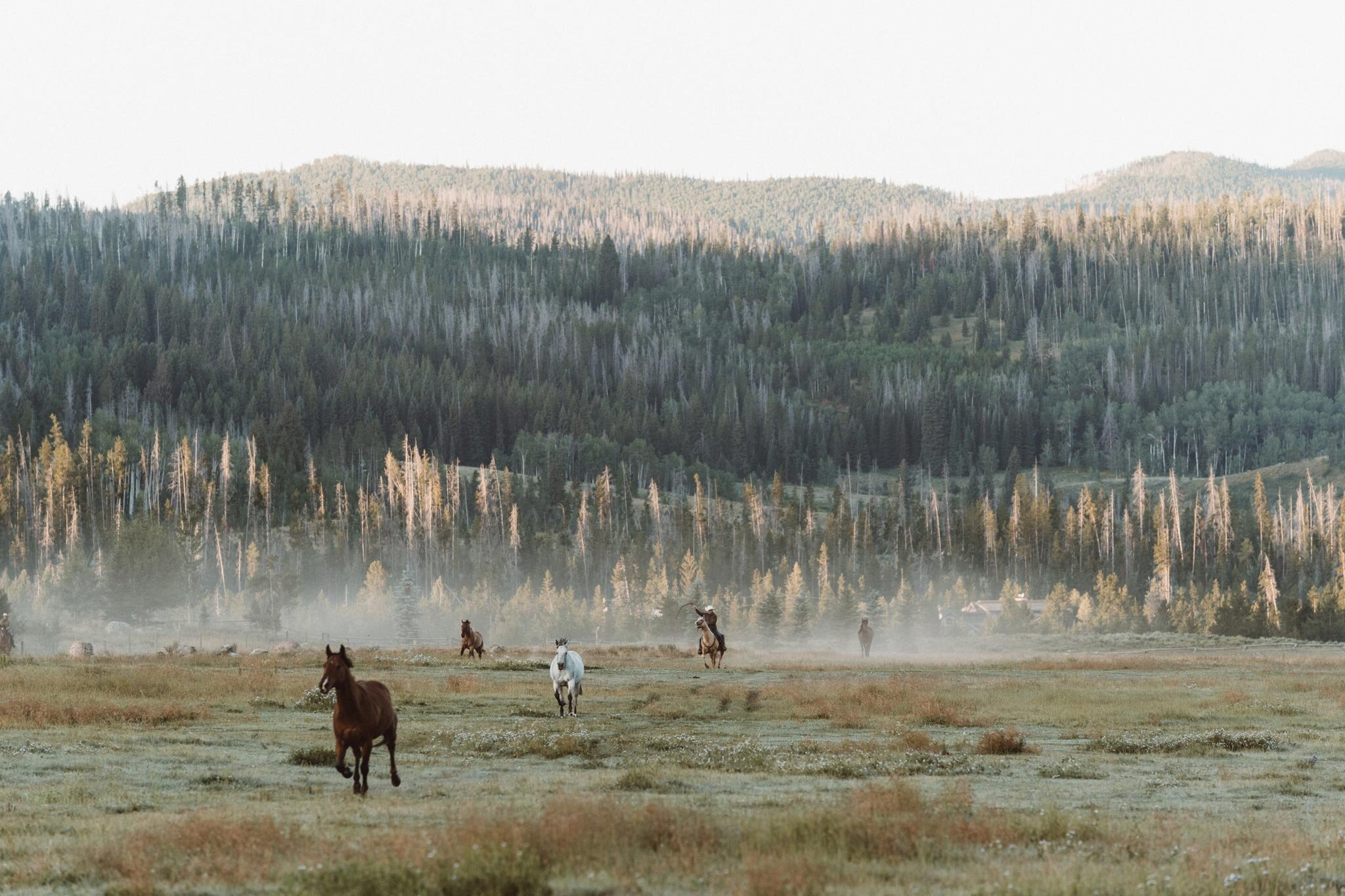 cowboy-on-the-range.jpg