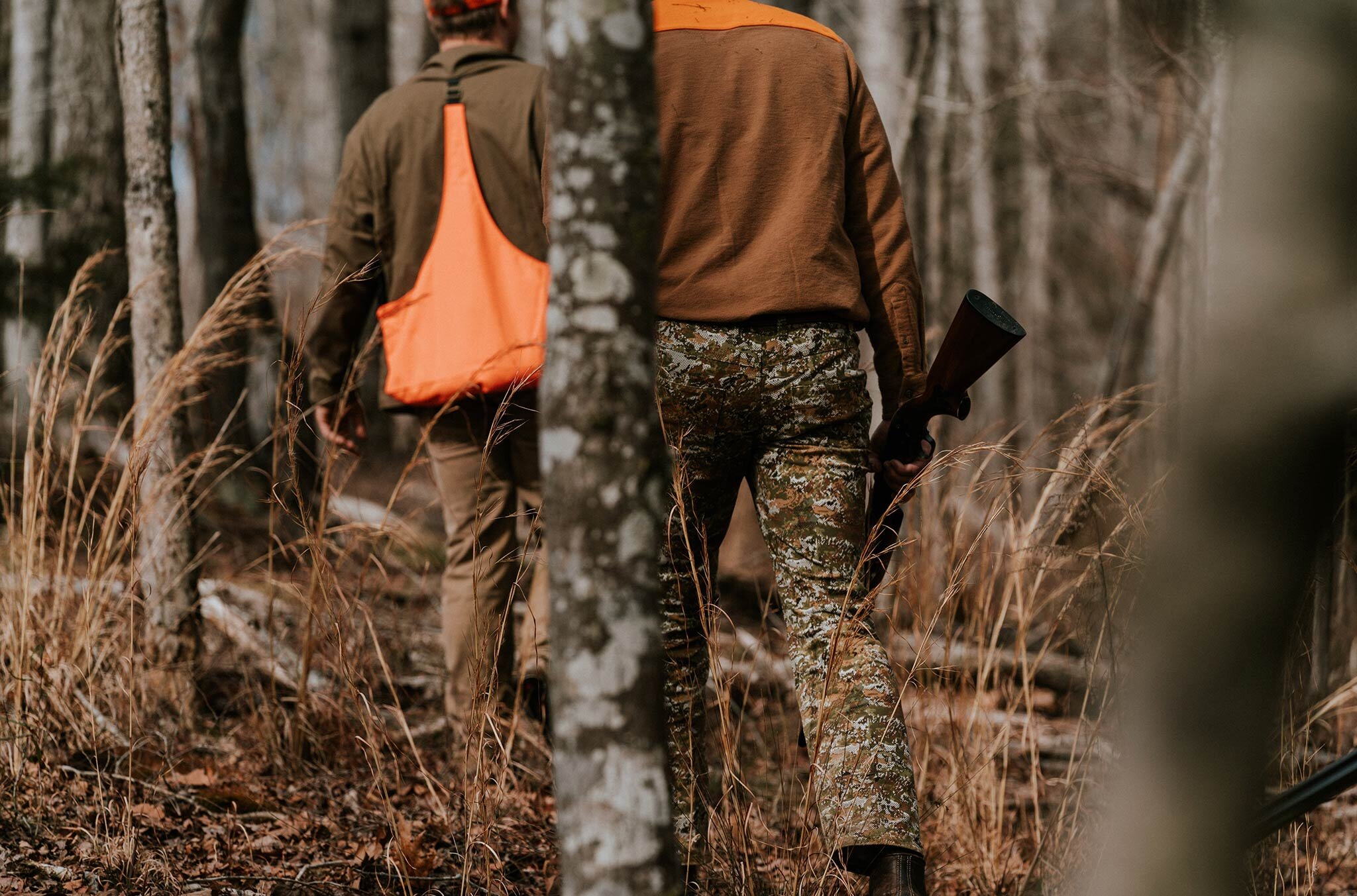 north-carolina-quail-hunt.jpg