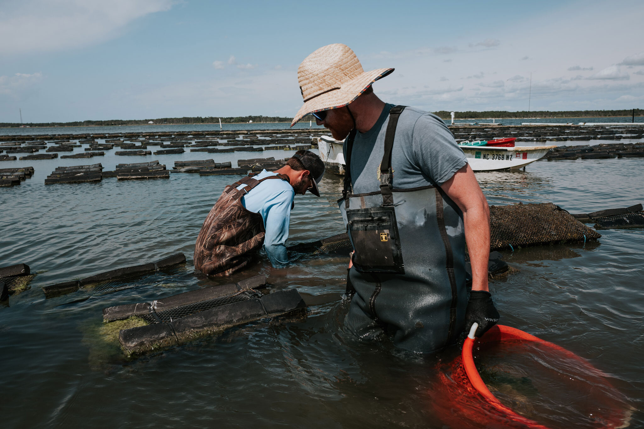 nc-outer-banks-oysters.jpg