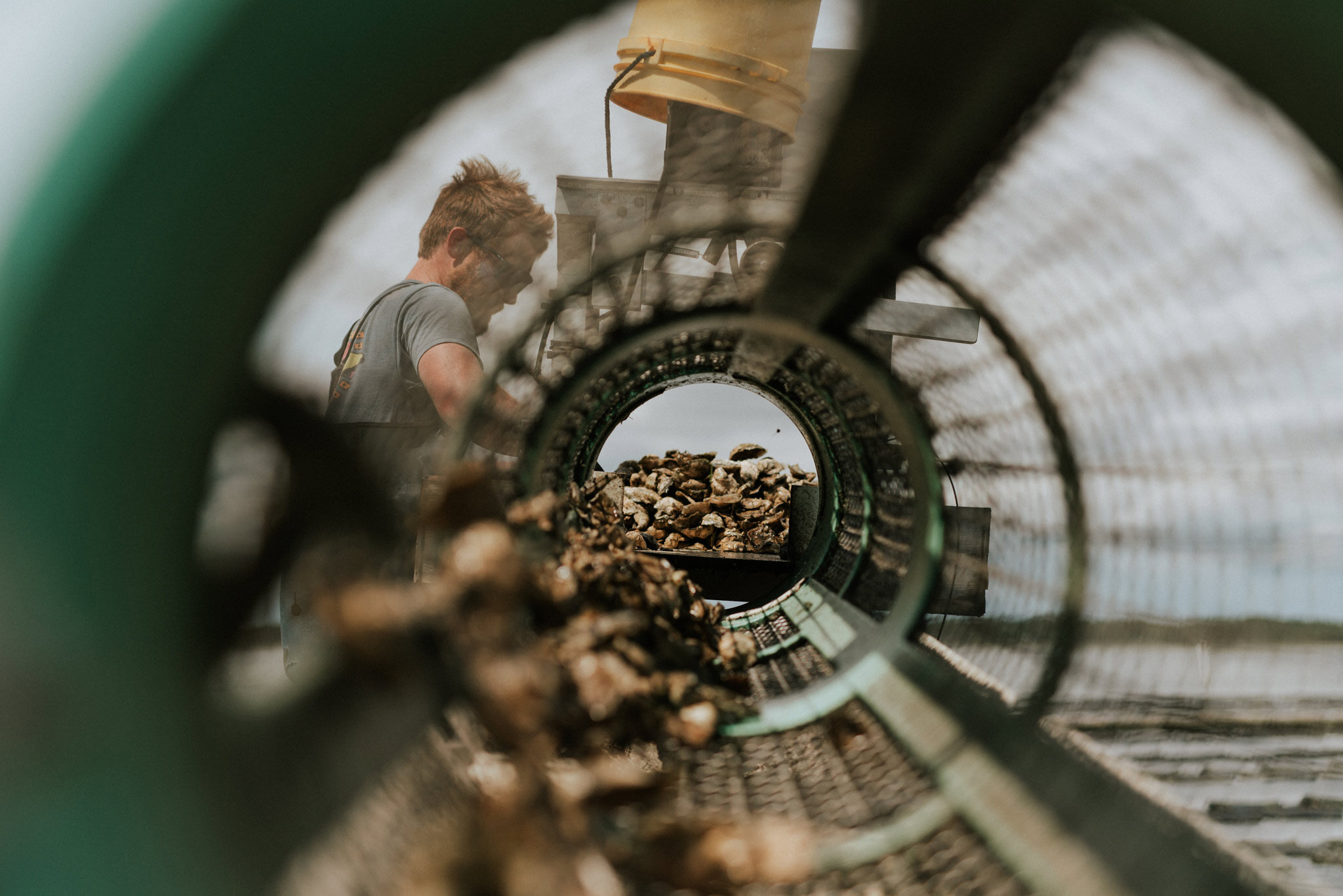 outerbanks-fresh-oysters.jpg