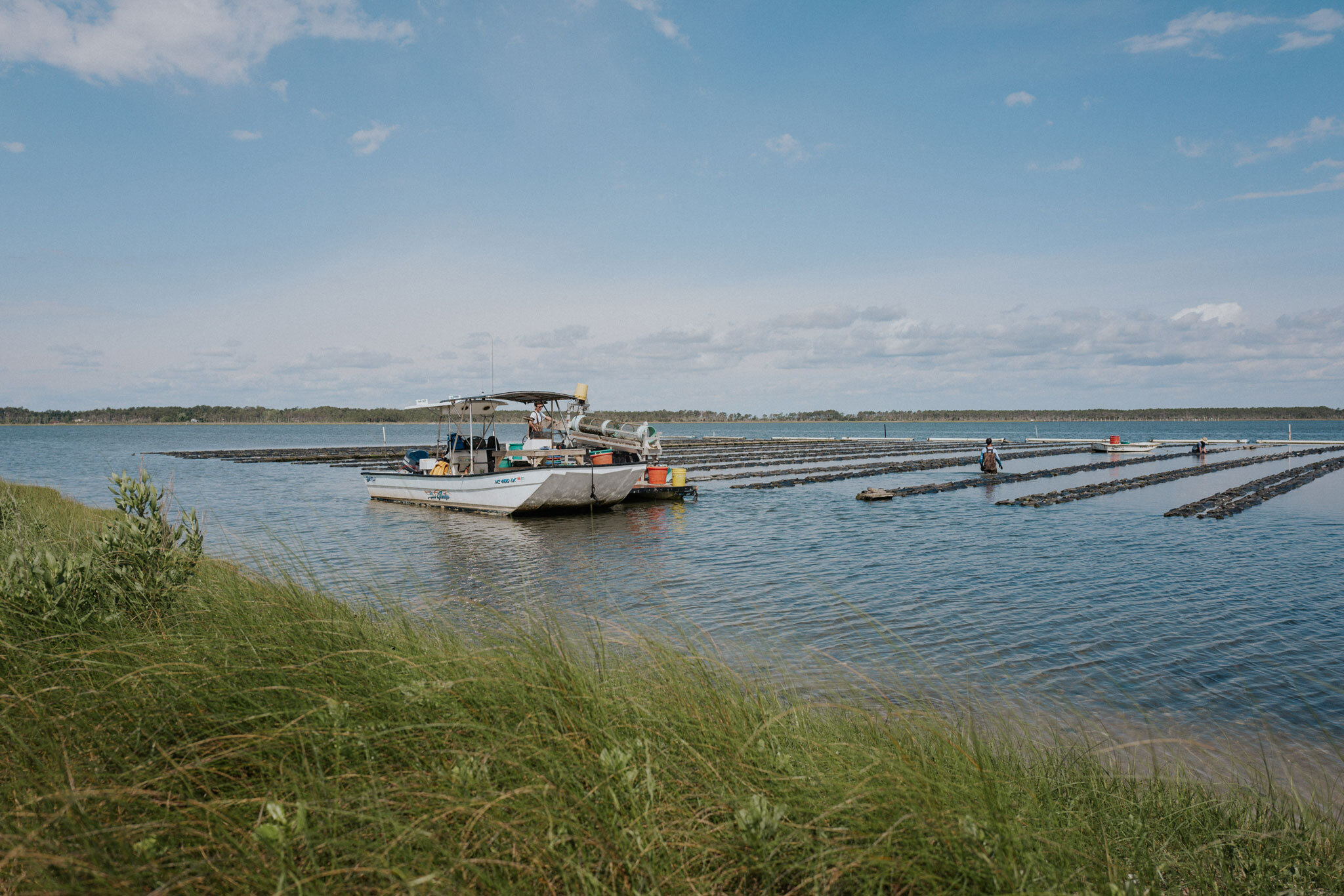 oysters-in-north-carolina-outerbanks.jpg