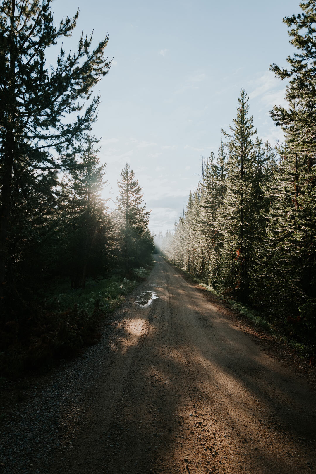 gravel-road-great-divide-mountain-bike-route.jpg