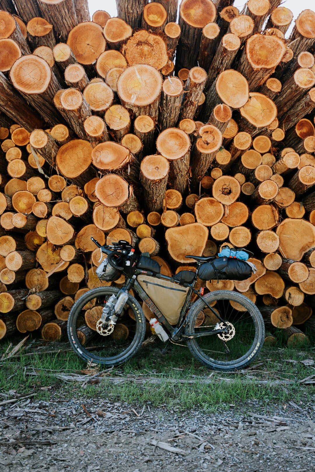 rodeo-labs-trail-donkey-bikepacking.jpg