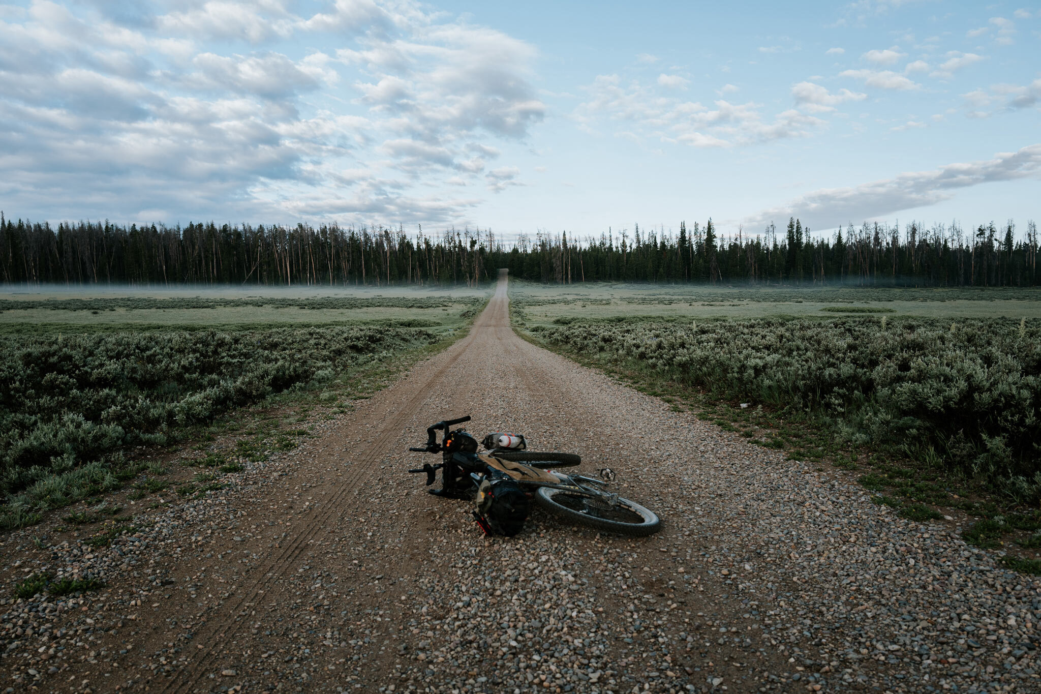 rodeo-labs-trail-donkey-great-divide.jpg